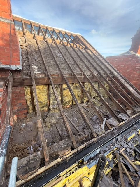 Roof rafters and insulation exposed after the old covering was removed